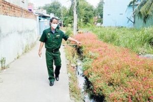 Ảnh chụp một đoạn đường hoa do Hội cựu chiến binh huyện Bình Chánh chăm sóc…